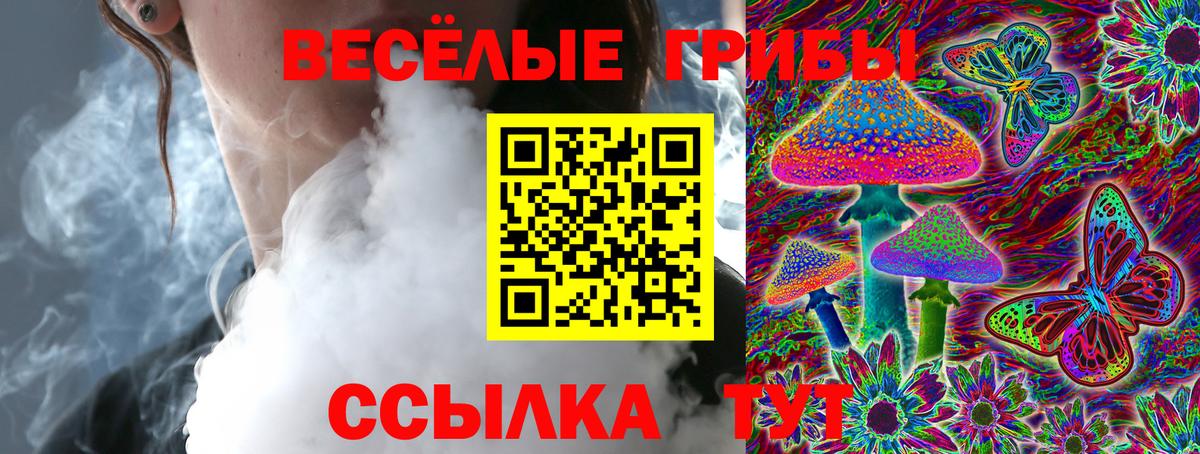 Ахтубинск  Галлюциногенные грибы Magic Shrooms  Вход с VPN  Галлюциногенные грибы GOLDEN TEACHER 