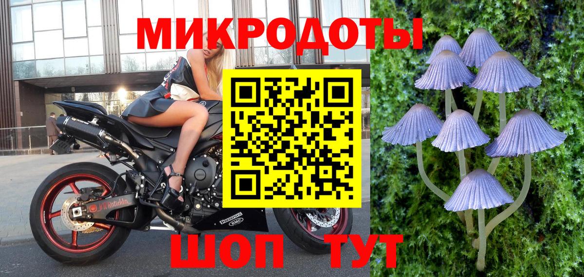 Псилоцибиновые грибы мухоморы Ахтубинск